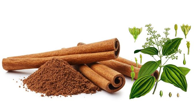 Ăn gì để diệt tế bào ung thư? - Quế