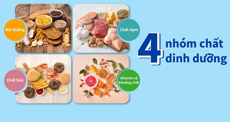 Dưỡng chất cần đảm bảo trong bữa ăn hằng ngày cho người ung thư