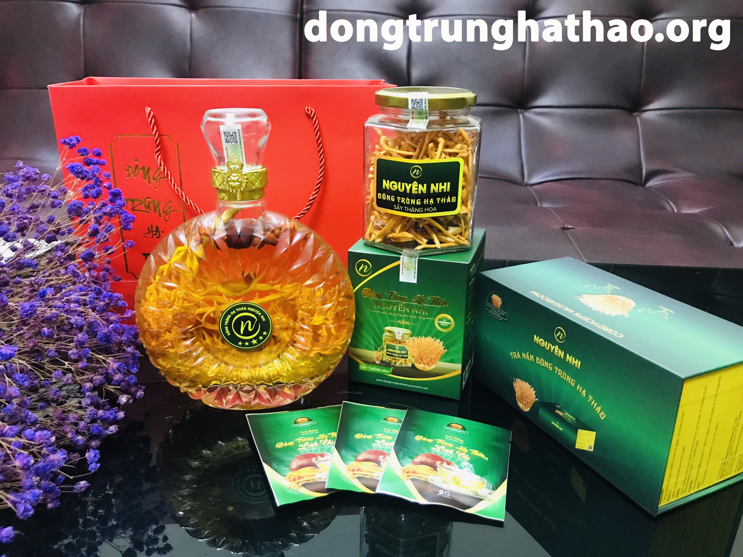 Đông trùng hạ thảo – Nấm quý hỗ trợ người bệnh ung thư.