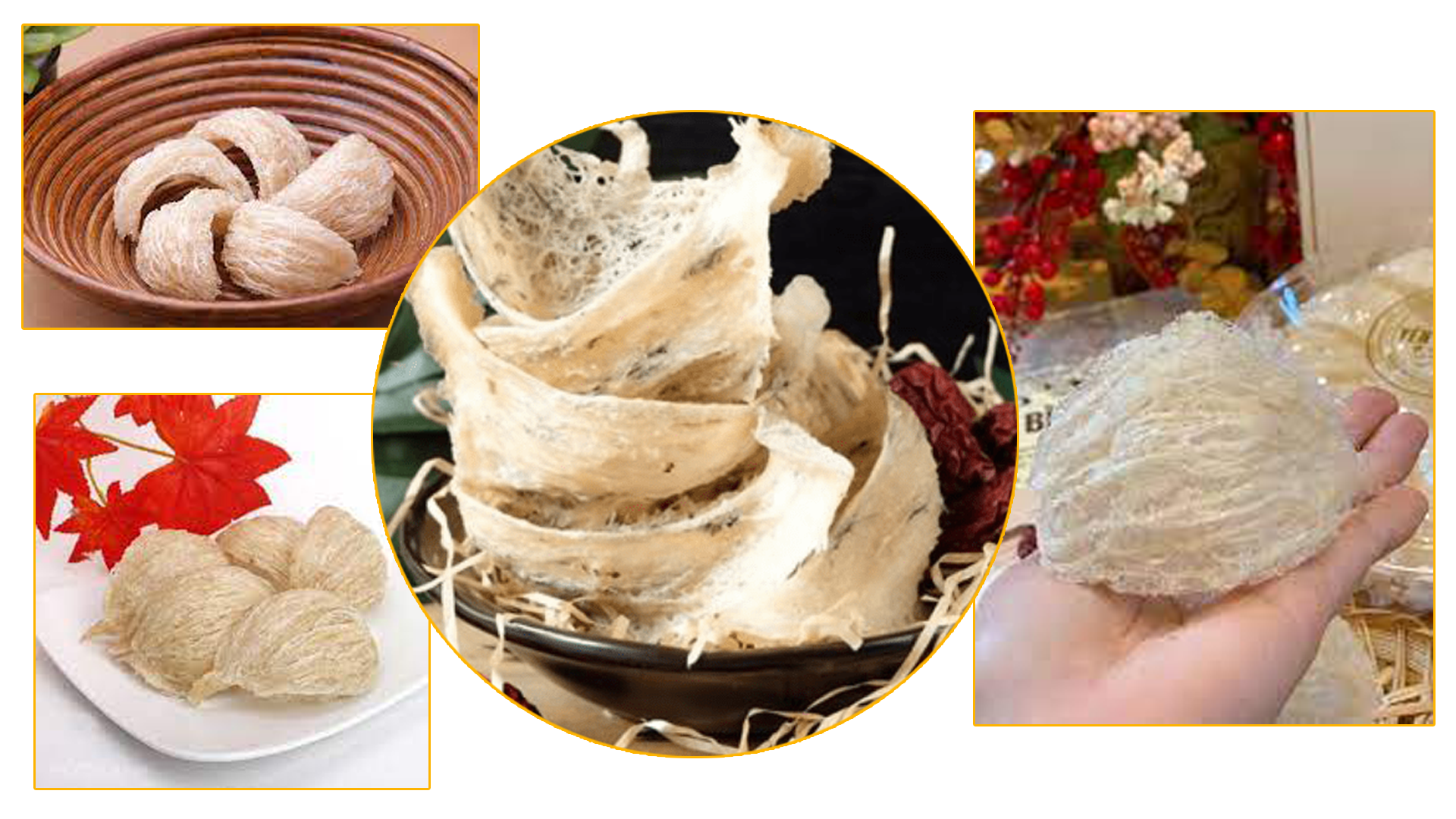 Hiểu về yến sào - Thành phần và công dụng.