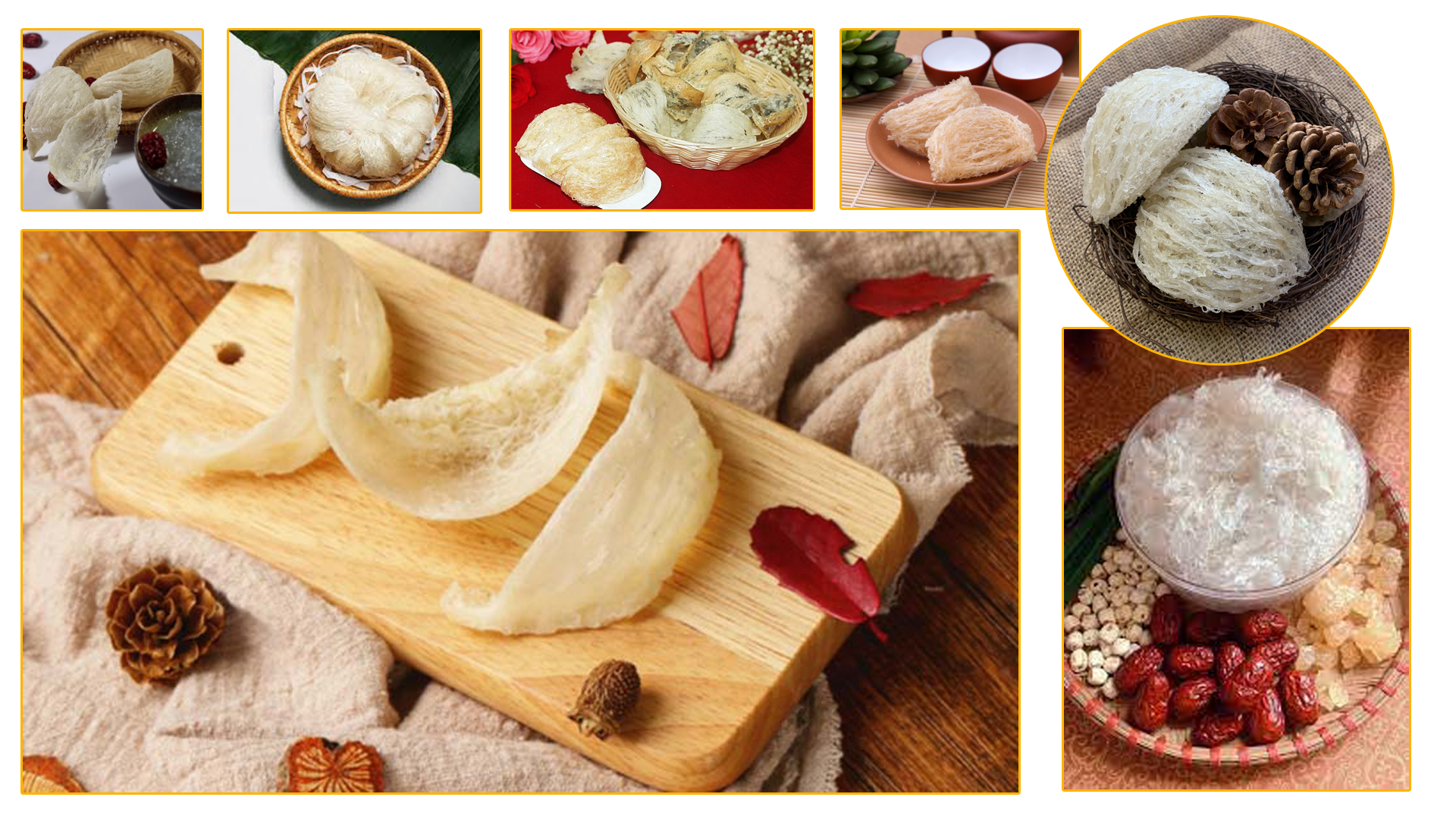 Người bệnh ung thư có nên ăn yến sào không?! Tác động dinh dưỡng của yến sào đến người bệnh ung thư.