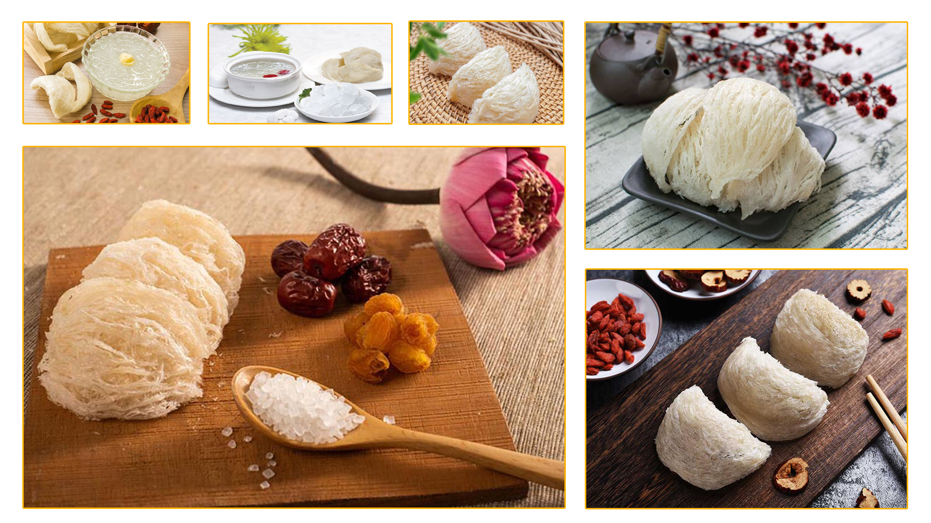 Người bệnh ung thư có nên ăn yến sào không