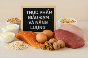 thuc pham giau dam va nang luong dai dien