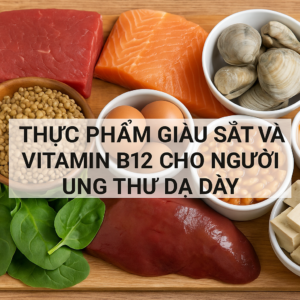anh dai dien thuc pham giau sat va vitamin b12 cho nguoi ung thu da day 2