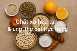 anh dai dien chat xo hoa tan ung thu dai truc trang 16x9 1