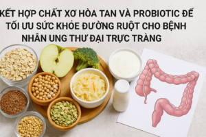 anh dai dien ket hop chat xo hoa tan va probiotic 16x9 1
