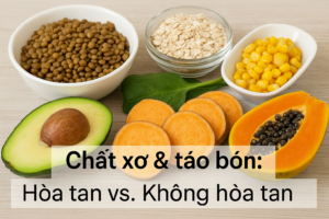 vai tro chat xo thumb dai dien 16x9