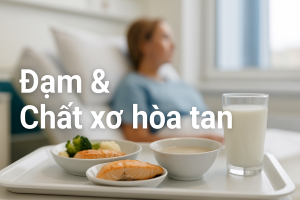 vai tro dam va chat xo hoa tan thumbnail 16 9