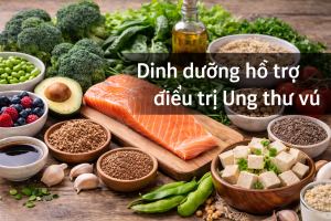 cach dau nanh ho tro chuyen hoa estrogen va kiem soat can nang o benh nhan ung thu vu thumbnail 16 9