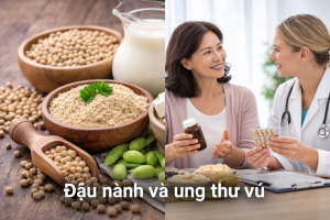 vai tro cua dau nanh trong dieu hoa estrogen o benh nhan ung thu vu thumbnail 16 9